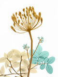 Flor do Deserto 2 — Koetsier, Albert