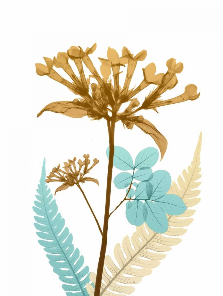 Flor do Deserto 3 — Koetsier, Albert