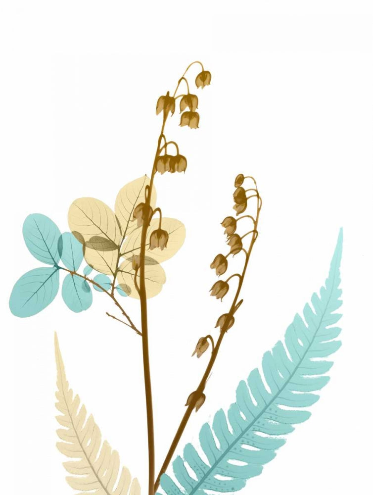 Flor do Deserto 4 — Koetsier, Albert