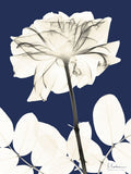 Dinastia Rosa Fria 2 — Koetsier, Albert