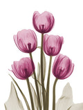 Torre Vibrante de Tulipas I — Koetsier, Albert