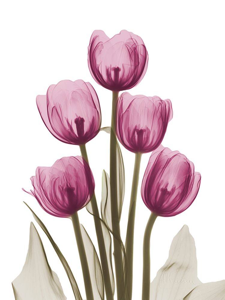 Torre Vibrante de Tulipas I — Koetsier, Albert