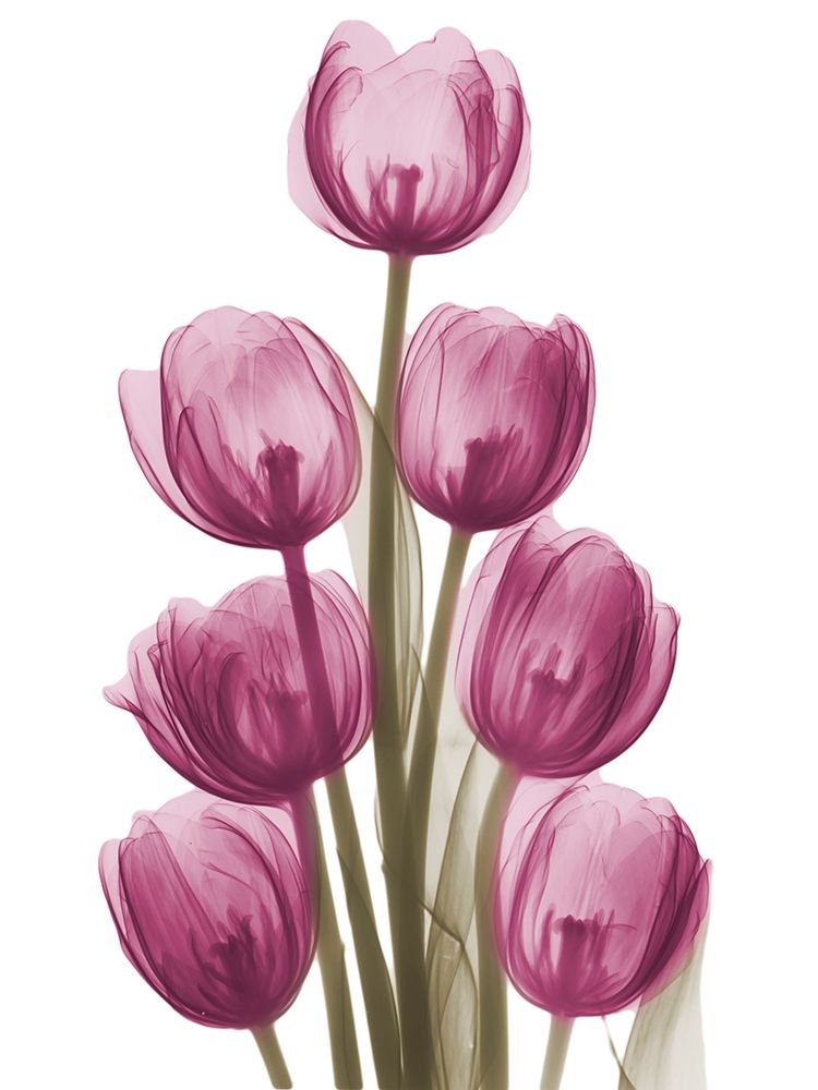 Torre Vibrante de Tulipas II — Koetsier, Albert