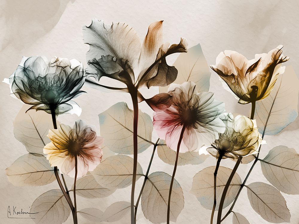Florais Naturais 1 — Koetsier, Albert