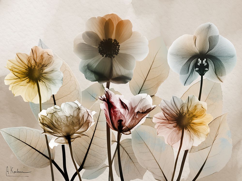 Florais Naturais 2 — Koetsier, Albert