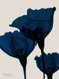 Flores de Índigo 1 — Koetsier, Albert