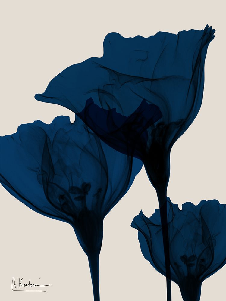 Flores de Índigo 1 — Koetsier, Albert