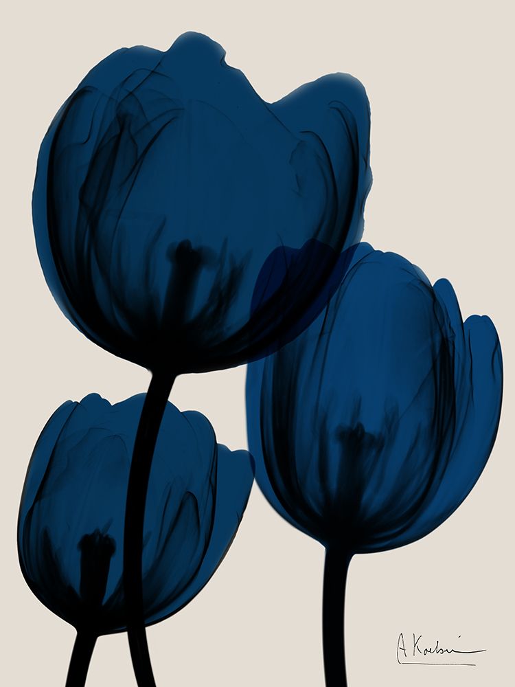 Flores de Índigo 2 — Koetsier, Albert