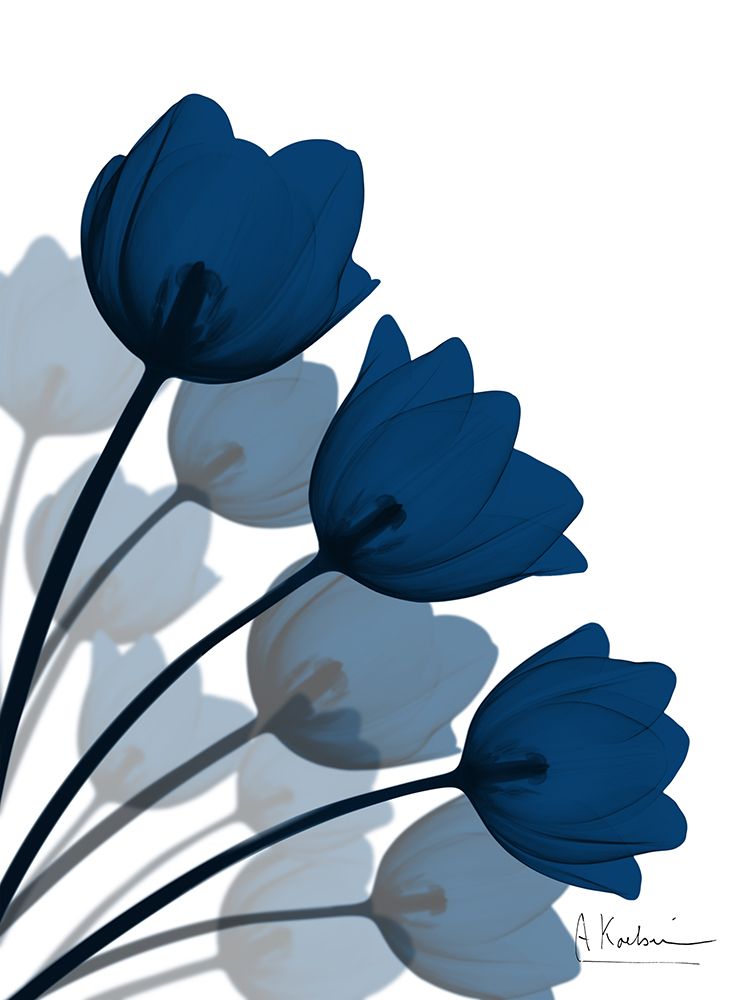 Leque de Tulipas em Índigo 1 — Koetsier, Albert