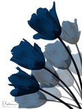 Leque de Tulipas em Índigo 2 — Koetsier, Albert