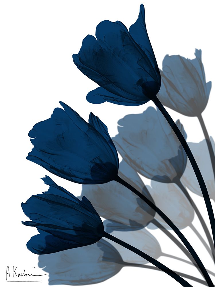 Leque de Tulipas em Índigo 2 — Koetsier, Albert