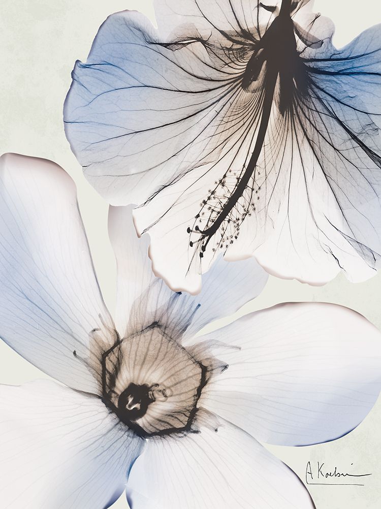 Flores em Tons de Azul 1 II — Koetsier, Albert