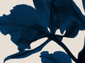 Flor de Índigo 3 — Koetsier, Albert