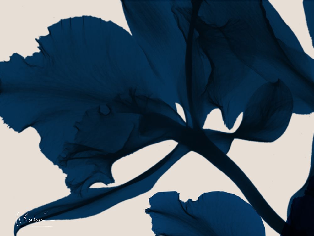 Flor de Índigo 3 — Koetsier, Albert