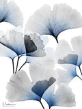 Ramalhete de Ginkgo em Azul Vivo 1 — Koetsier, Albert