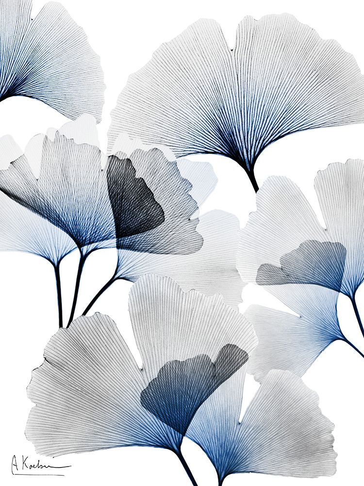 Ramalhete de Ginkgo em Azul Vivo 1 — Koetsier, Albert