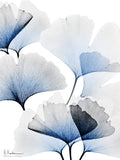Ramalhete de Ginkgo em Azul Vivo 2 — Koetsier, Albert
