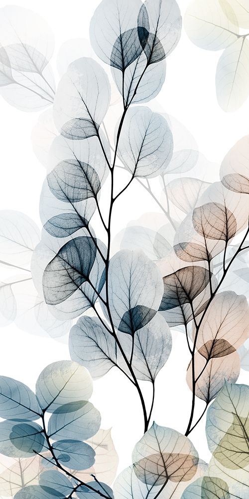 Alcance ao Céu 1 — Koetsier, Albert