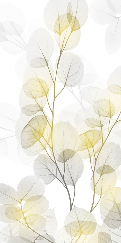 Alcance Luminoso 1 — Koetsier, Albert