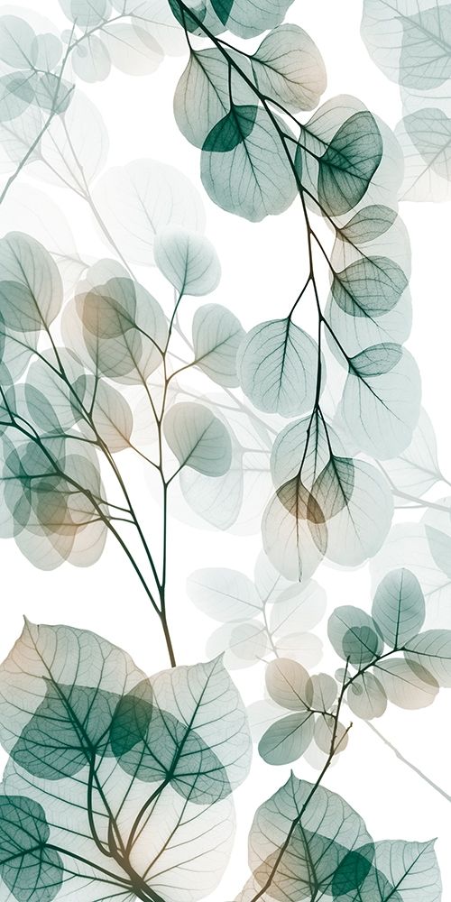 Alcance Natural 2 — Koetsier, Albert