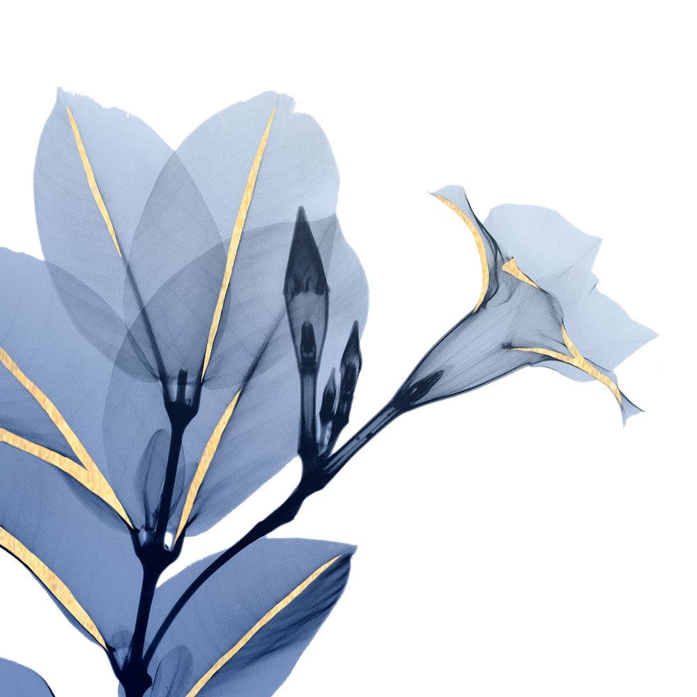 Mandevilla ao Luar — Koetsier, Albert