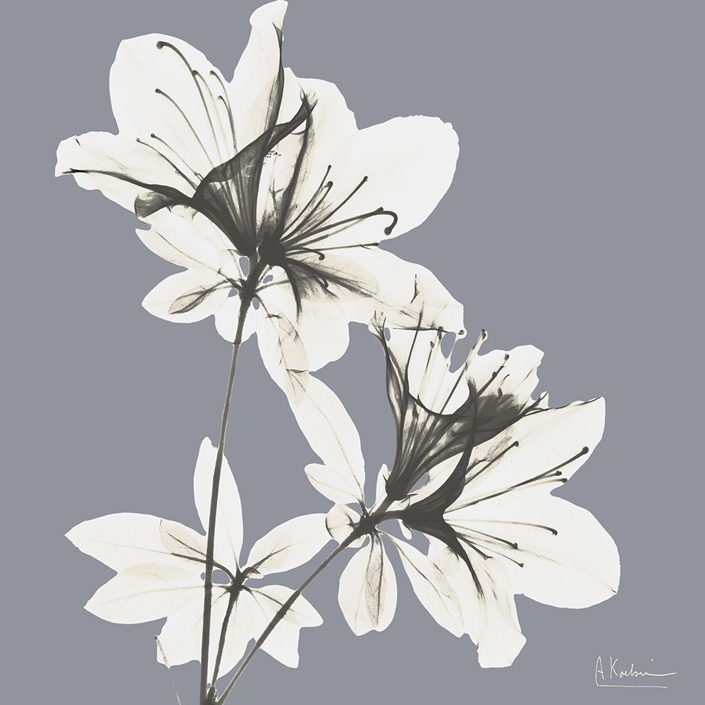 Esplêndida Beleza Neutra 1 — Koetsier, Albert
