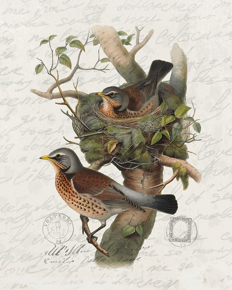 Aninhando 1 — Bailey, Ann