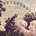 Roda-Gigante de Plumas — Davis, Ashley