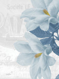 Magnólia Azuis 2 I — Stimson, Diane