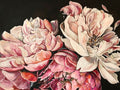 Peônias Rosas — Debs, Emma Catherine