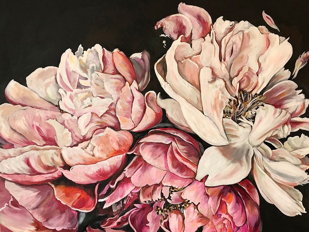 Peônias Rosas — Debs, Emma Catherine