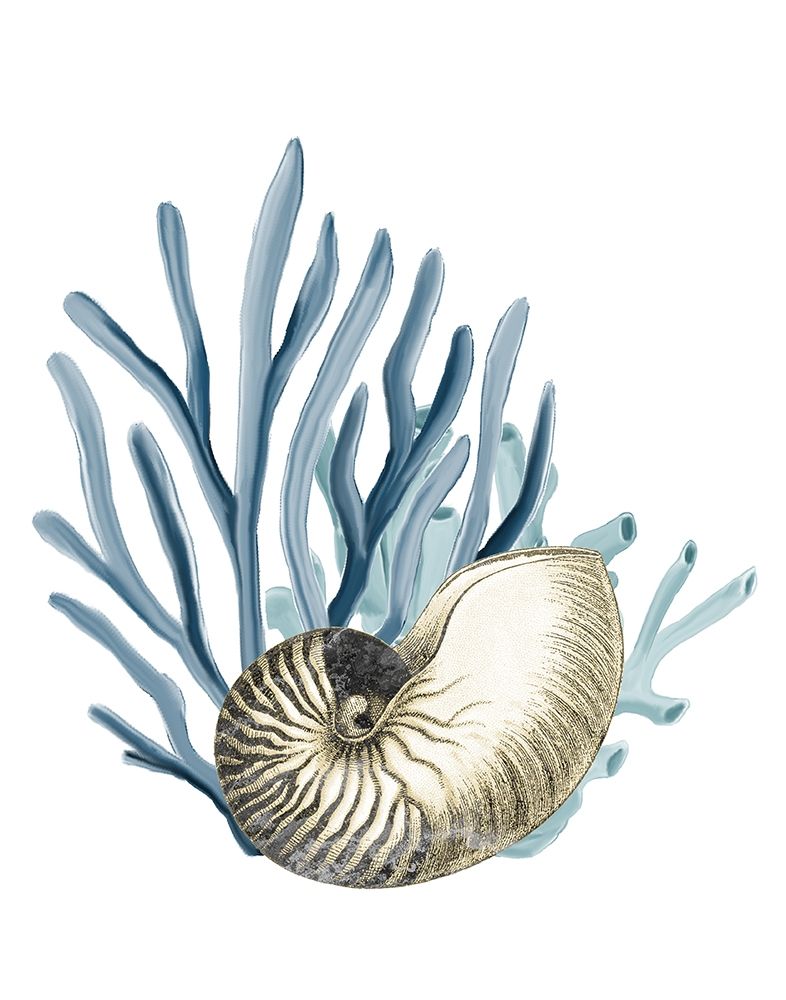 Coral do Litoral 2 1 — Allen, Kimberly