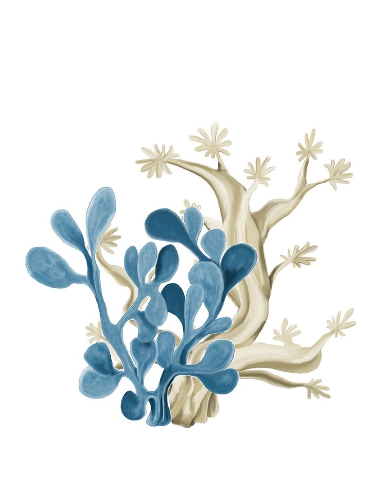 Coral do Litoral 3 — Allen, Kimberly
