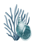 Coral do Litoral 4 — Allen, Kimberly