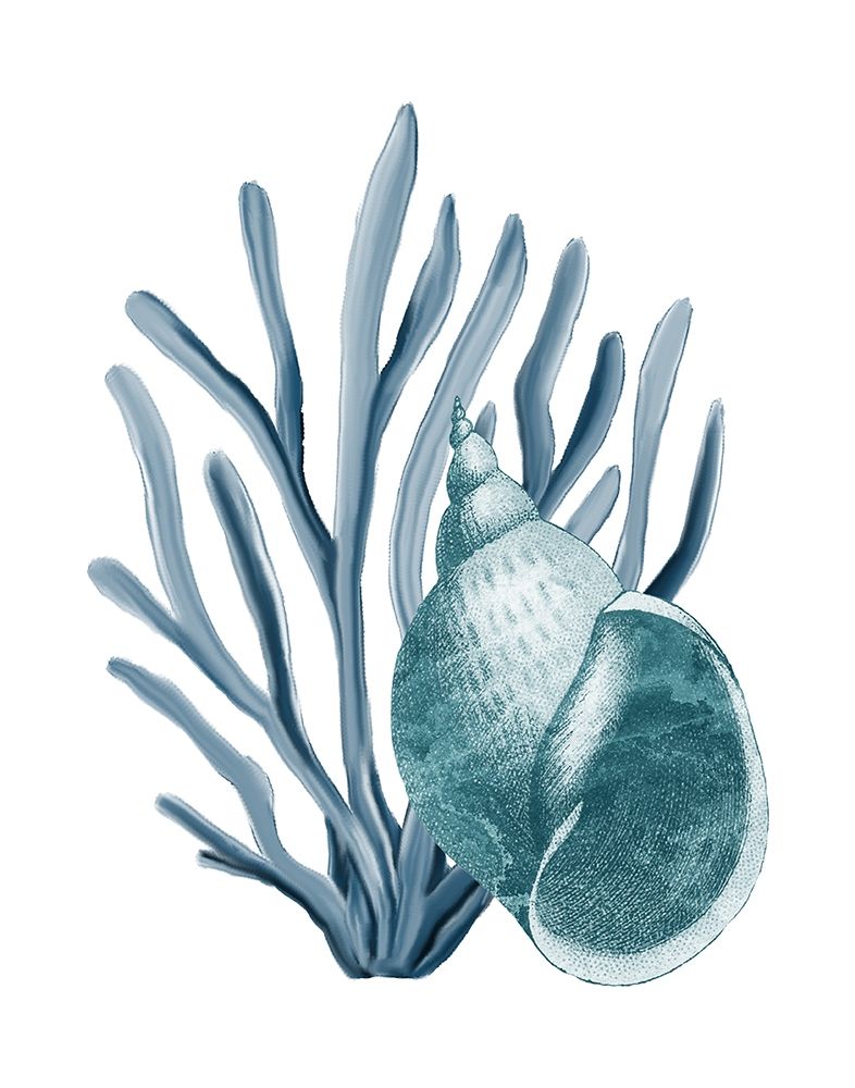 Coral do Litoral 4 — Allen, Kimberly