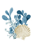 Coral do Litoral 5 — Allen, Kimberly