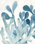 Coral 3 — quadrado 2 — Allen, Kimberly