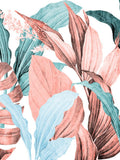 Palmeiras Coral 2 — Allen, Kimberly