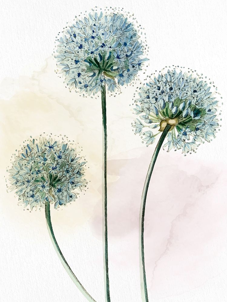 Dente-de-Leão em Aquarela — Allen, Kimberly