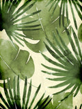 Palmeiras da Selva 1 — Allen, Kimberly
