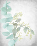 Eucalipto e Folhas 2 — Allen, Kimberly