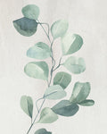 Verdes Suaves 1 — Allen, Kimberly