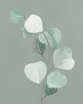 Verdes Suaves 2 — Allen, Kimberly