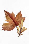 Outono Aquarela 1 — Allen, Kimberly