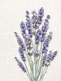 Lavanda em Linho 2 — Allen, Kimberly