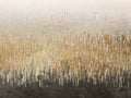 Ondas 2 — Allen, Kimberly