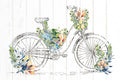 Bicicleta Florida — Allen, Kimberly