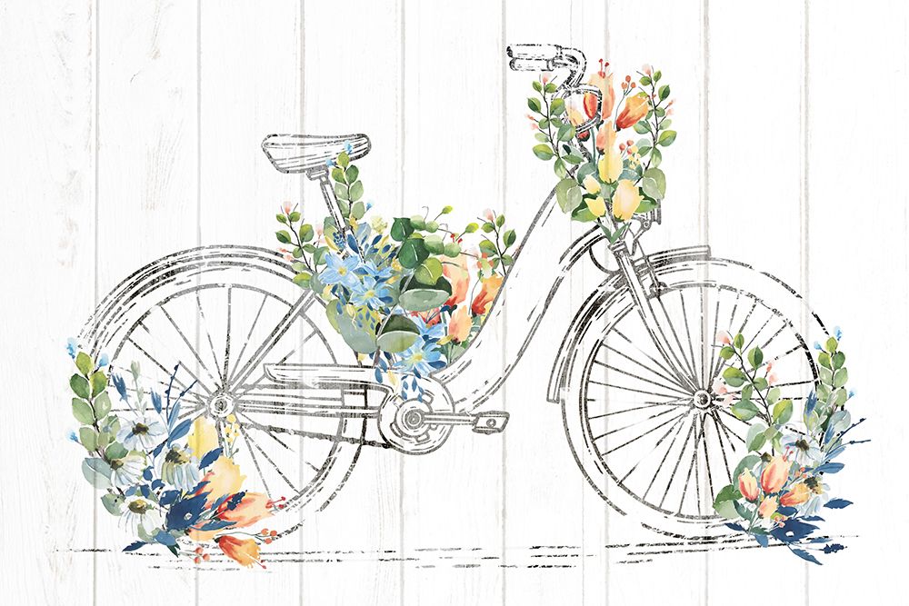 Bicicleta Florida — Allen, Kimberly