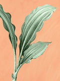 Palmeira em Laranja 1 — Allen, Kimberly