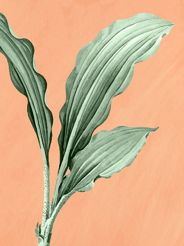 Palmeira em Laranja 1 — Allen, Kimberly